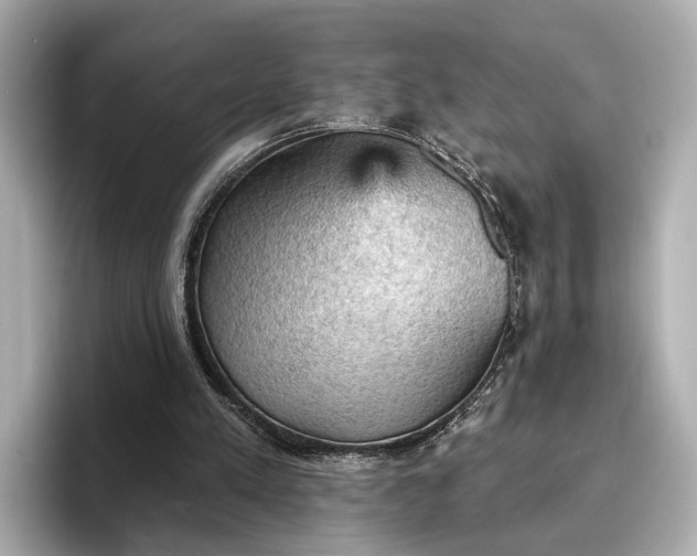 X0000096950197200802221329