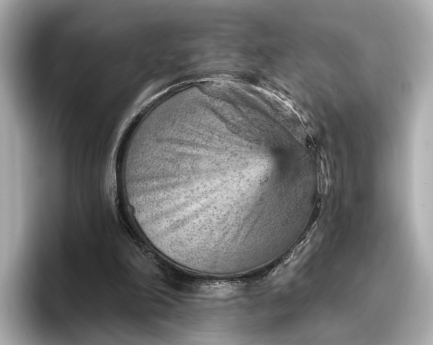 X0000096950198200802221329