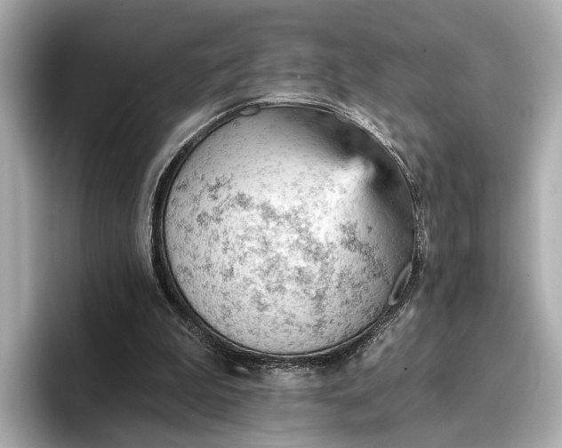 X0000096950199200802221329