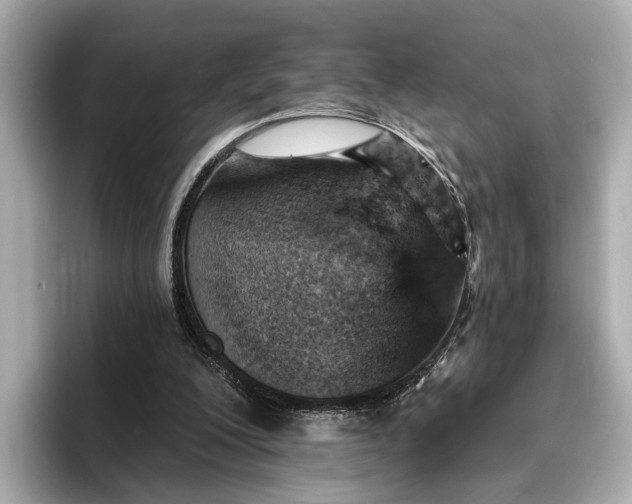 X0000096950200200802221329