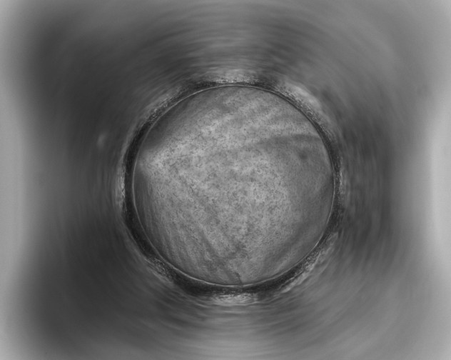 X0000096950202200802221329