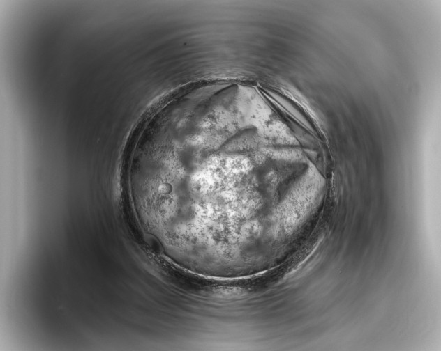 X0000096950203200802221329