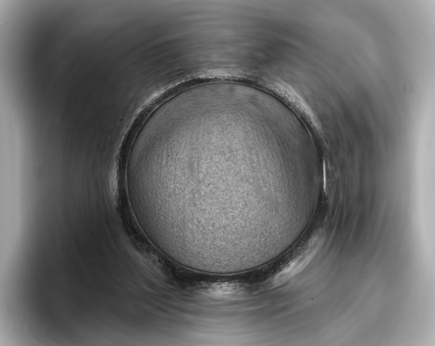 X0000096950204200802221329