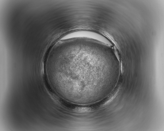 X0000096950205200802221329