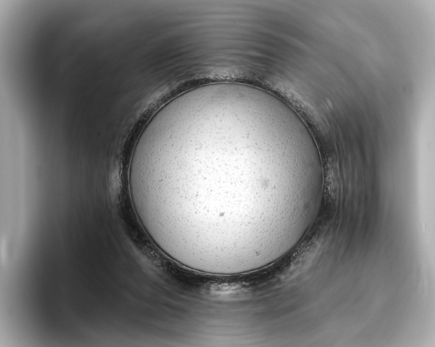 X0000096950208200802221329