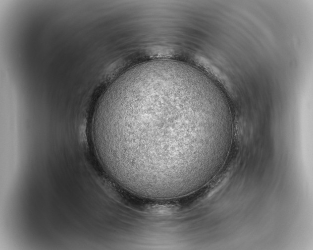 X0000096950209200802221329