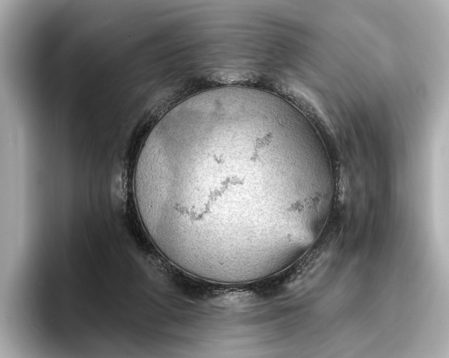 X0000096950210200802221329