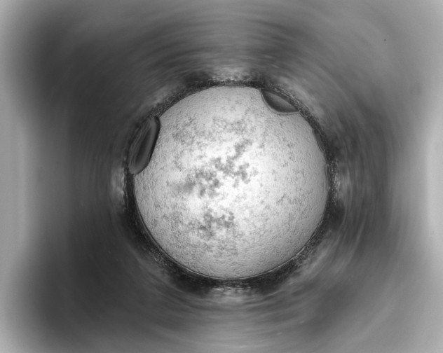 X0000096950211200802221329