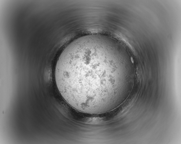 X0000096950212200802221329