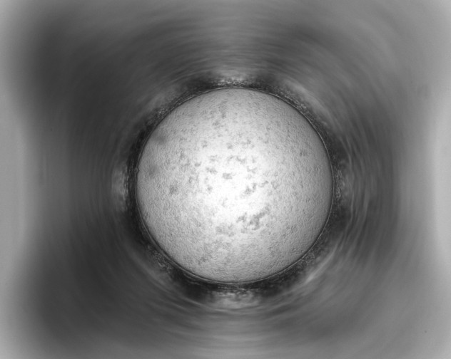 X0000096950215200802221329