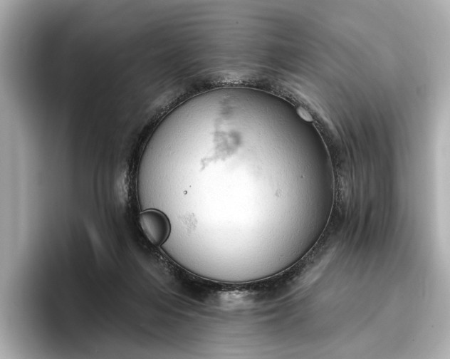 X0000096950216200802221329