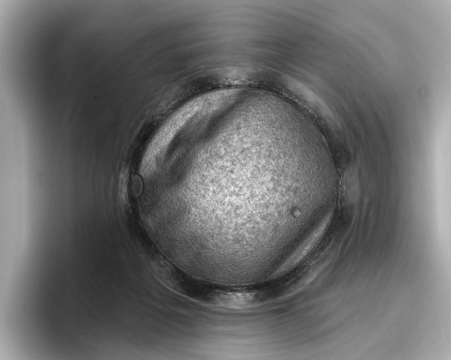 X0000096950217200802221328
