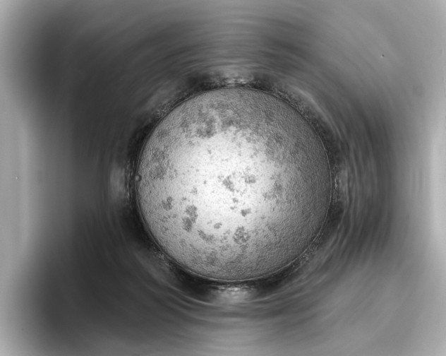 X0000096950218200802221328