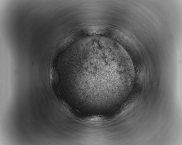 X0000096950219200802221328