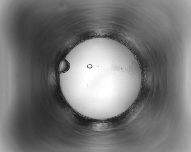 X0000096950220200802221328