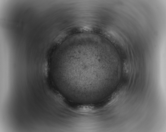 X0000096950223200802221328