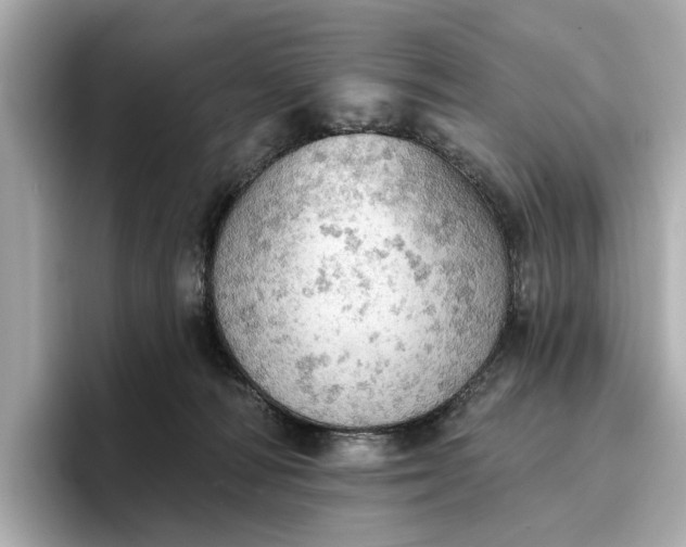 X0000096950226200802221328