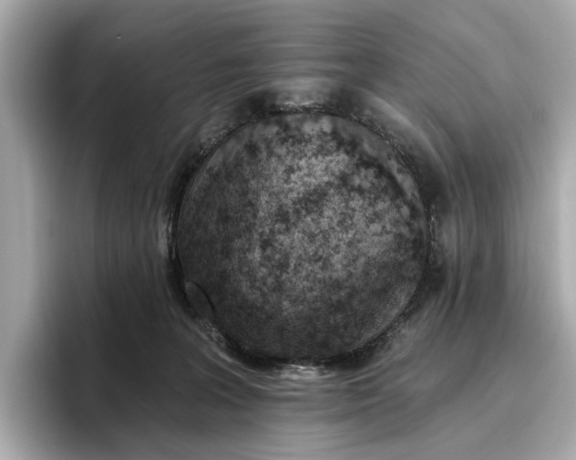 X0000096950227200802221328