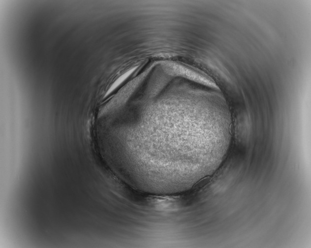 X0000096950229200802221328