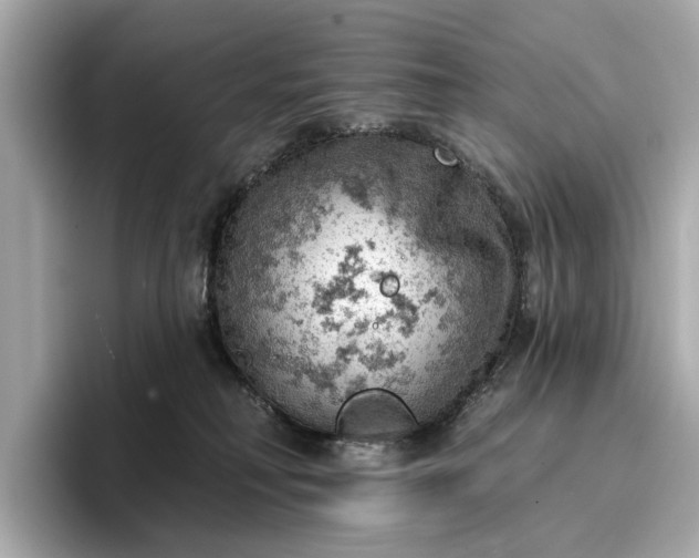 X0000096950230200802221328