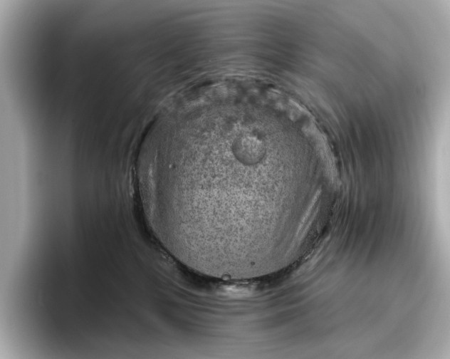 X0000096950232200802221328