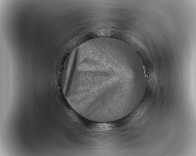X0000096950233200802221328