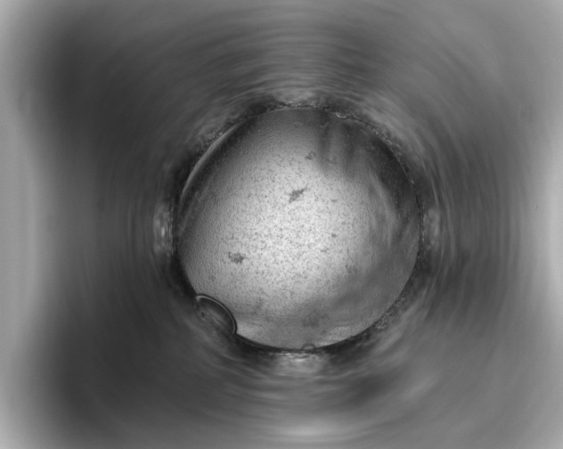 X0000096950234200802221328