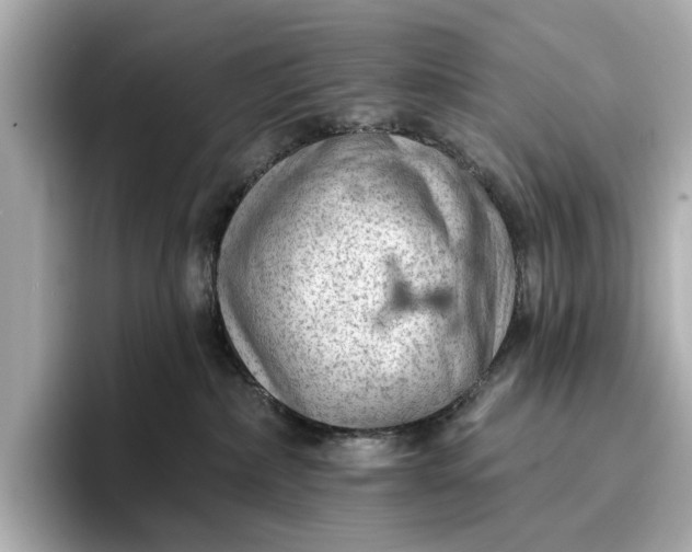 X0000096950236200802221328