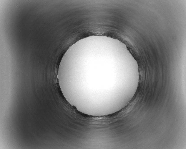 X0000096950237200802221328