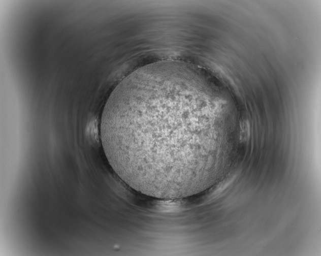 X0000096950238200802221328