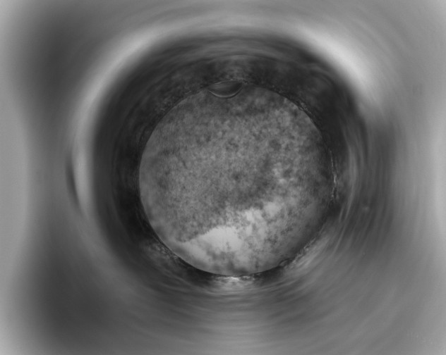 X0000096950239200802221328