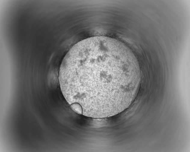X0000096950240200802221328