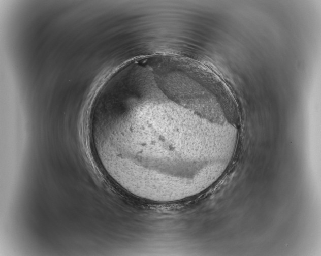 X0000096950241200802221328