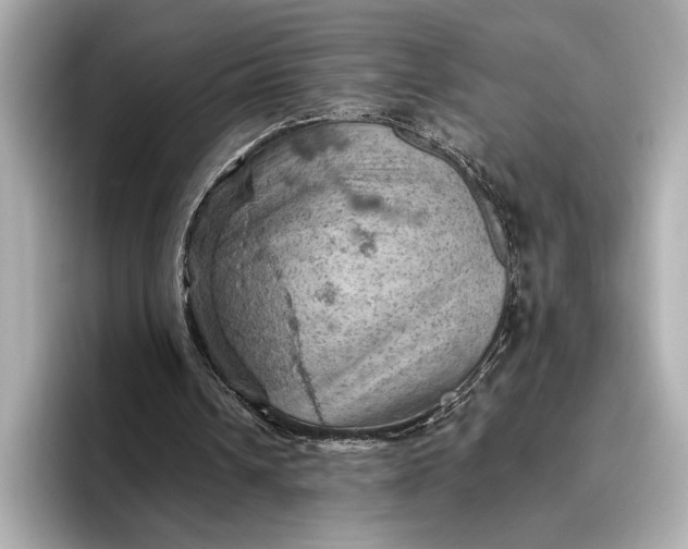 X0000096950242200802221328