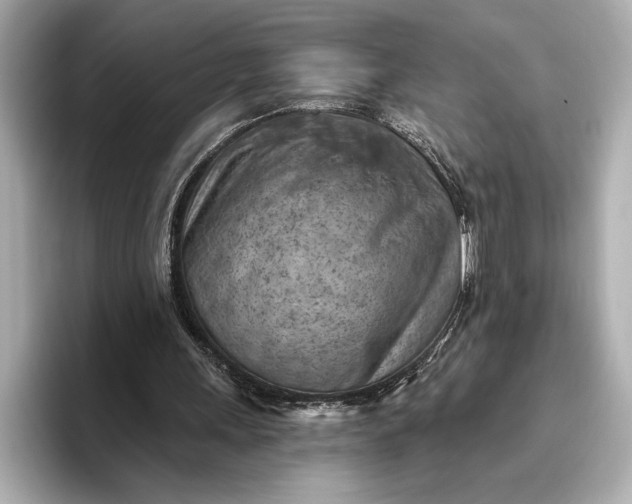 X0000096950243200802221328