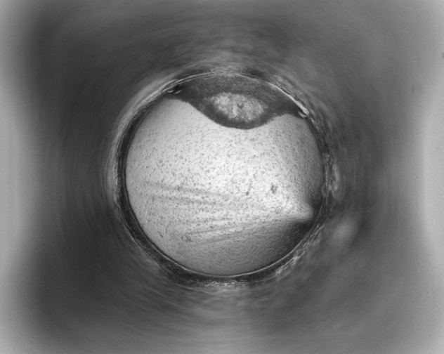X0000096950245200802221328