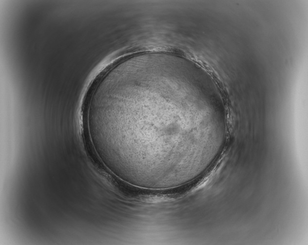 X0000096950246200802221328