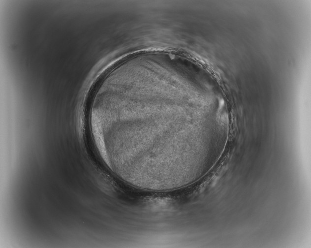 X0000096950247200802221328