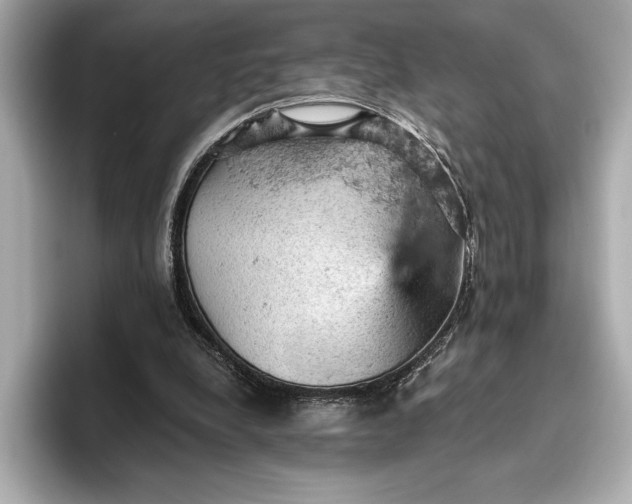 X0000096950248200802221328