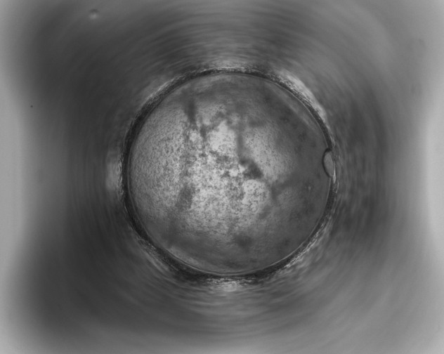 X0000096950249200802221328