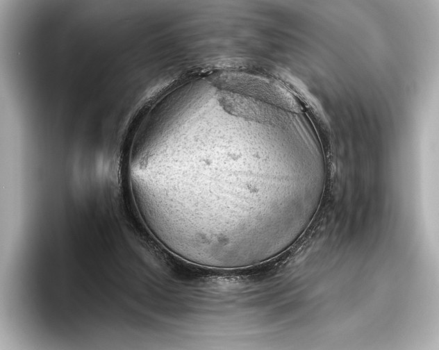 X0000096950250200802221328