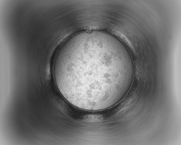 X0000096950251200802221328