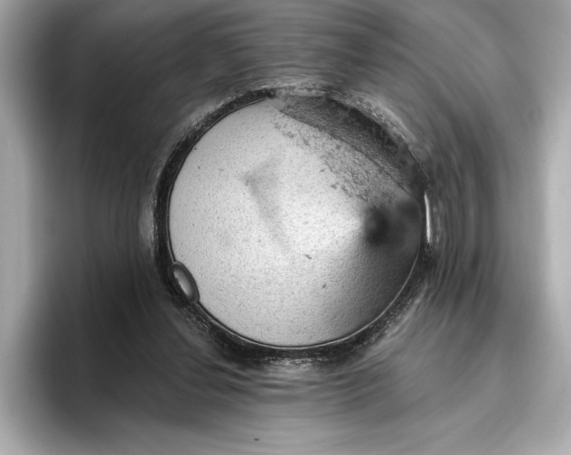 X0000096950252200802221328