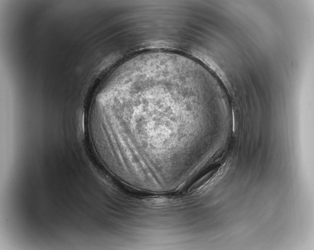 X0000096950253200802221328
