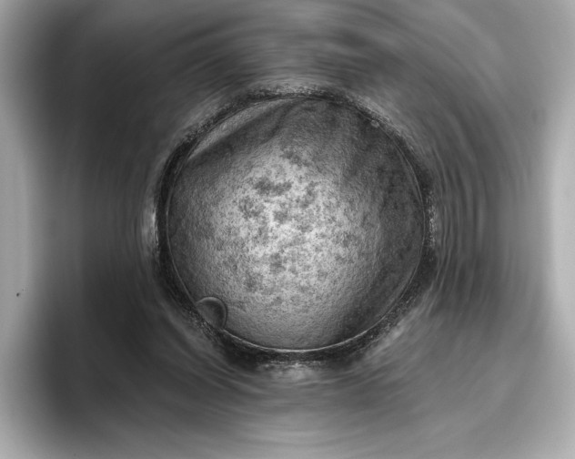 X0000096950254200802221328