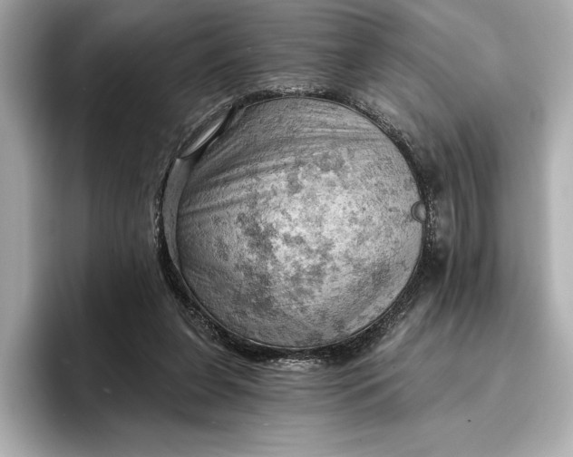 X0000096950255200802221328