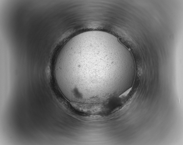 X0000096950256200802221328