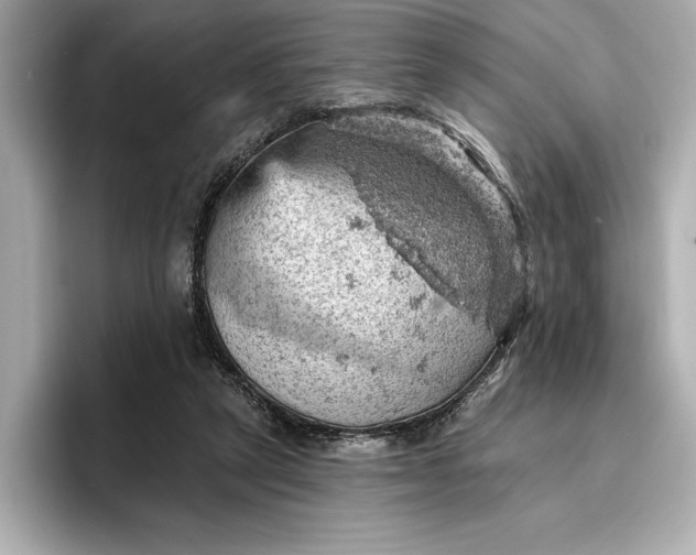 X0000096950257200802221328