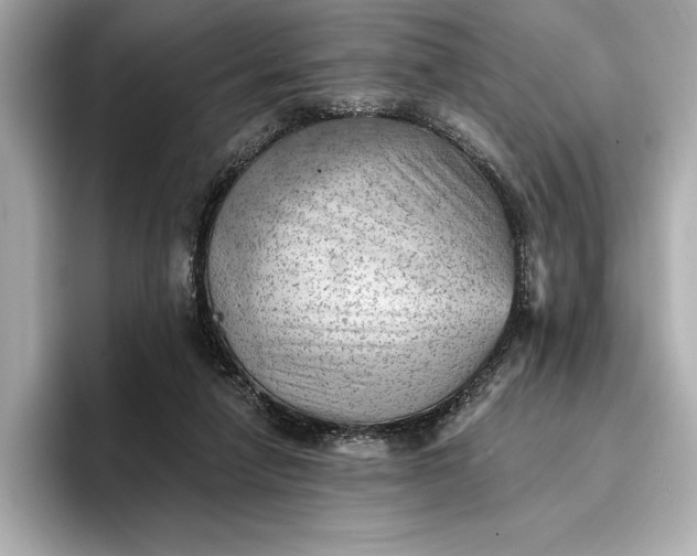 X0000096950258200802221328