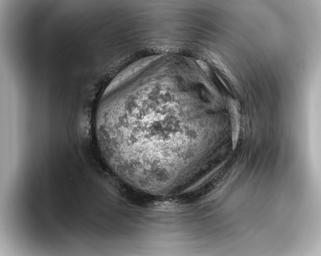 X0000096950259200802221328